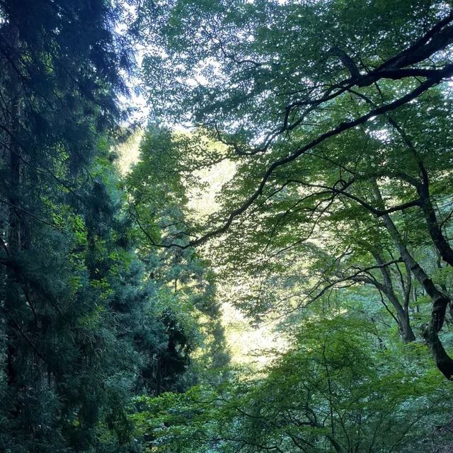 东京周边登山好去处-御岳山