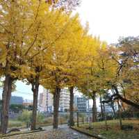 岩手県！盛岡城跡公園で紅葉狩り