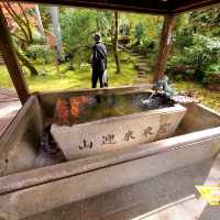 紅葉見に行こ～うよ～【禅林寺 永観堂】✨