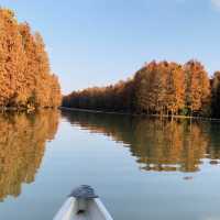 Golden Scenery in Shanghai’s Haiwan Park