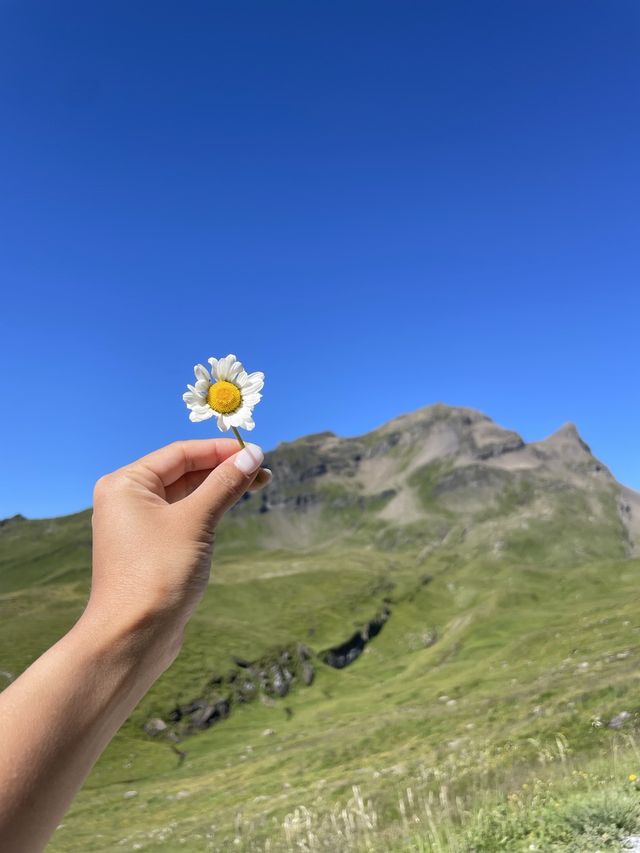 혼자보기 아까운 호수, 바흐알프제✨💚