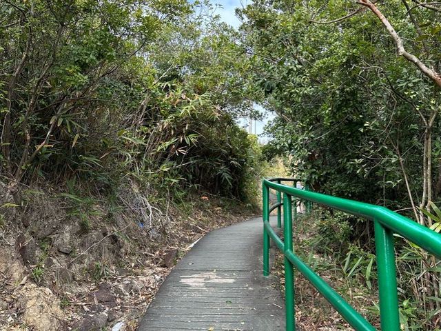 「行山」深井唔止淨係食燒鵝！