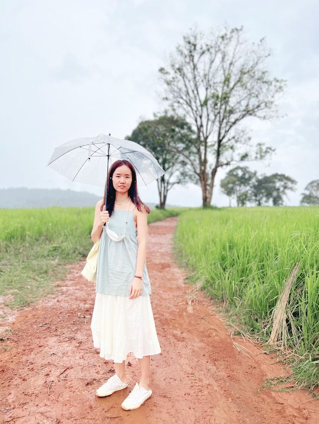 ส่องสัตว์กันที่ "หอดูสัตว์ หนองผักชี"⛰️🌳🐈