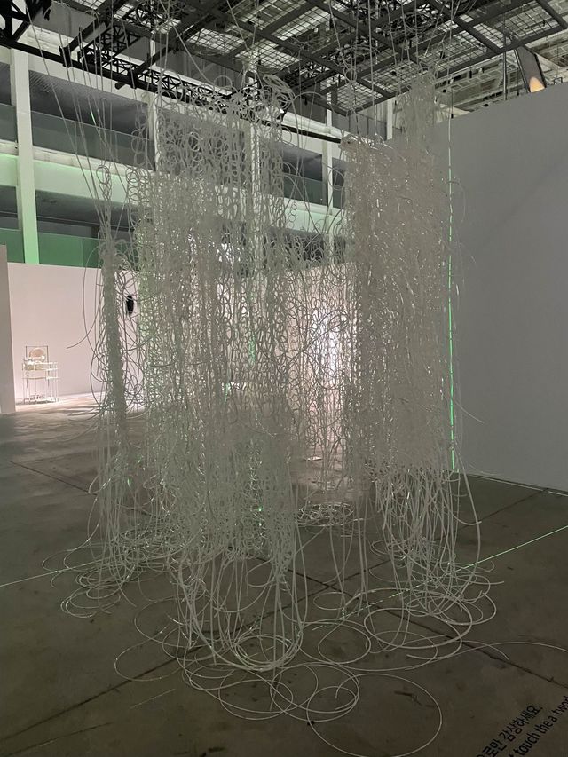 실내데이트 추천,국립 아시아 문화전당 전시회