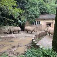 The Chongqing Zoo and Dinosaur Park