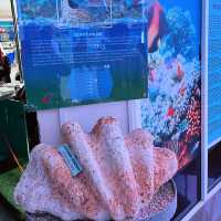 Aquarium Cuter