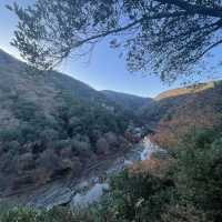 不可錯過的嵐山美景