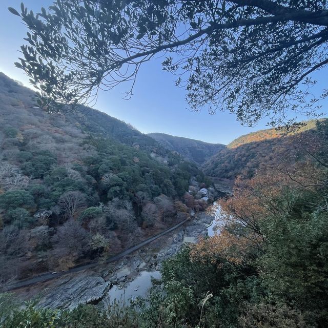 不可錯過的嵐山美景