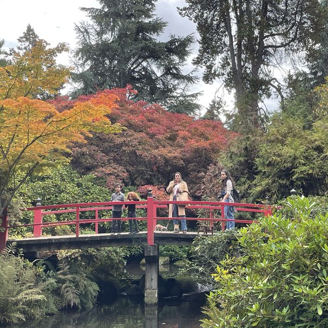 Kubota Garden in Seattle 
