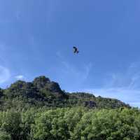 Kilim geoforest park sea eagles 