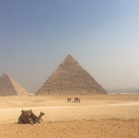 Egypt cairo 🇪🇬
