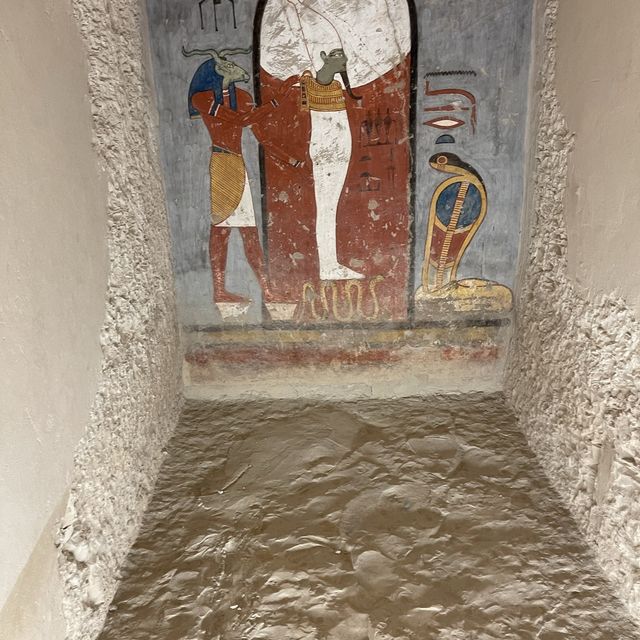 Wonderful trip to Egypt