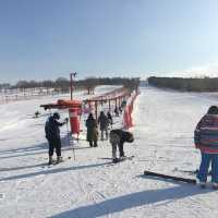 Harbin snow festival