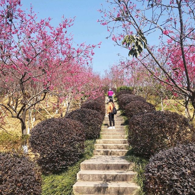 Fairy Lake, Xianhu Botanical Park