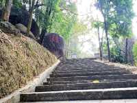 Yunti Mountain ⛰ | Stairway to Paradise!