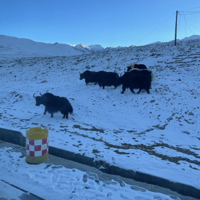 Tibet - an icy Winter Wonderland