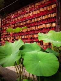 Serene Buddhist Temple in Hangzhou 