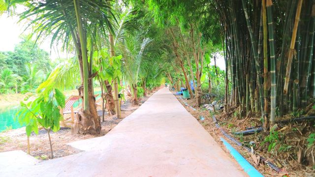 ณ อุบลของฝาก & คาเฟ่พิบูลมังสาหาร