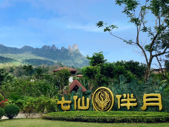 Qixian Ridge 🌳, 45 minutes north of Sanya, chill in the mountains like immortals for a day 🏵️.