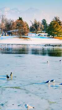 The ice and snow of Yancheng Lake.