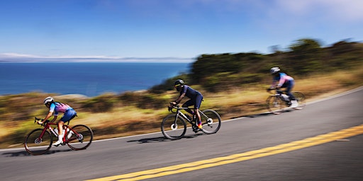 Intro to Road Biking - Trek Downers Grove | Trek Bicycle - Downers Grove