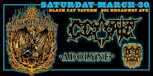 Cessate w/ Adolyne & Dead Like God - Live at Black Cat Tavern! | Black Cat Tavern