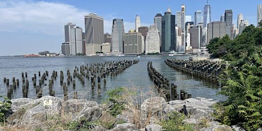 Walk Manhattan to Brooklyn, Red Hook, Industry City and more! | Oculus World Trade Center