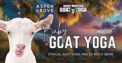 Baby Goat Yoga - December 29th (ASPEN GROVE) | 7301 S Santa Fe Dr #724