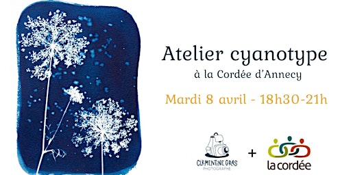 Atelier : Initiation au cyanotype | 4 Rue Saint-François de Sales