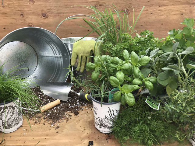 Herb Planter Workshop | The Floral Collective Inc., 335 Kerr Street, Oakville, ON, Canada