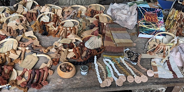Exploring natural dyes with trees and leaves EOC 2806 | Bradfield Woods National Nature Reserve