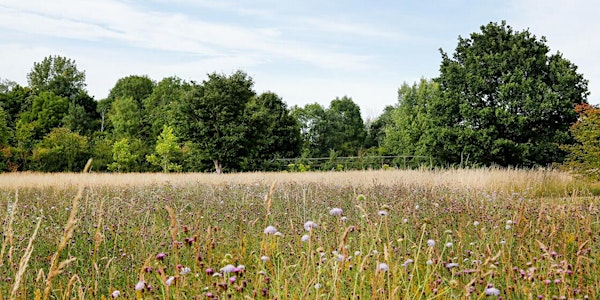 Summer in the Heart of England Forest Arboretum - Guided Walk | The Heart of England Forest Arboretum