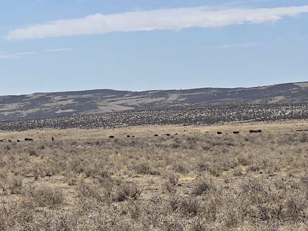 Front Range Drought Workshop | Weld County - Southwest Service Center