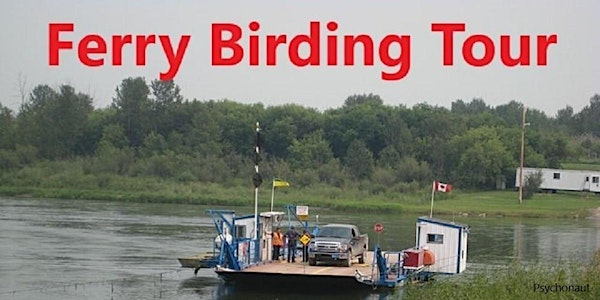Ferry Group Birding Tour | Flying J Travel Center