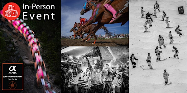 Sports Photography - Focusing on the Action | Central Library