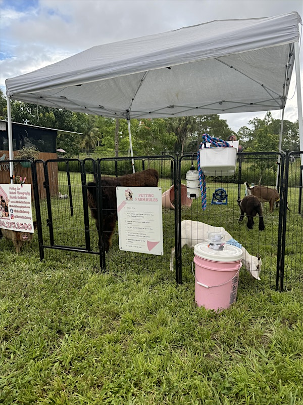 Petting zoo at magnolia coffee | 2370 NE Dixie Hwy