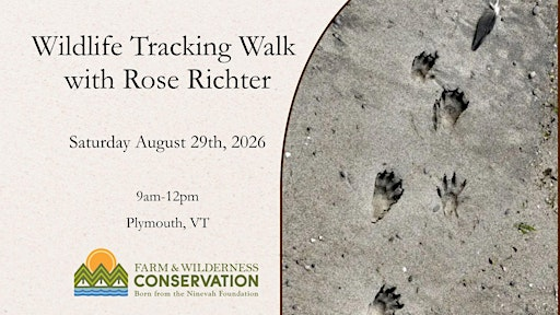 Wildlife Sign and Tracking Walk with Rose Richter | Reggies Road