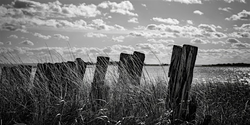 Henry's Winnipeg - Black & White Photo Walk | Sport Manitoba