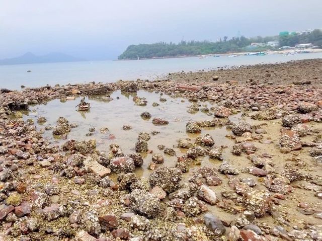 烏溪沙碼頭