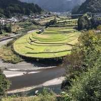 あらぎ島