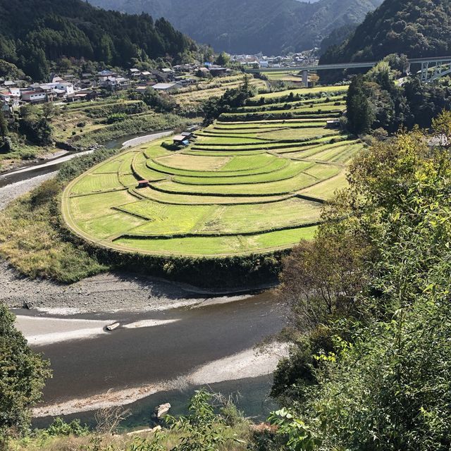 あらぎ島