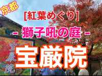 京都[紅葉めぐり]    　ー獅子吼の庭ー　宝厳院にて心を癒す