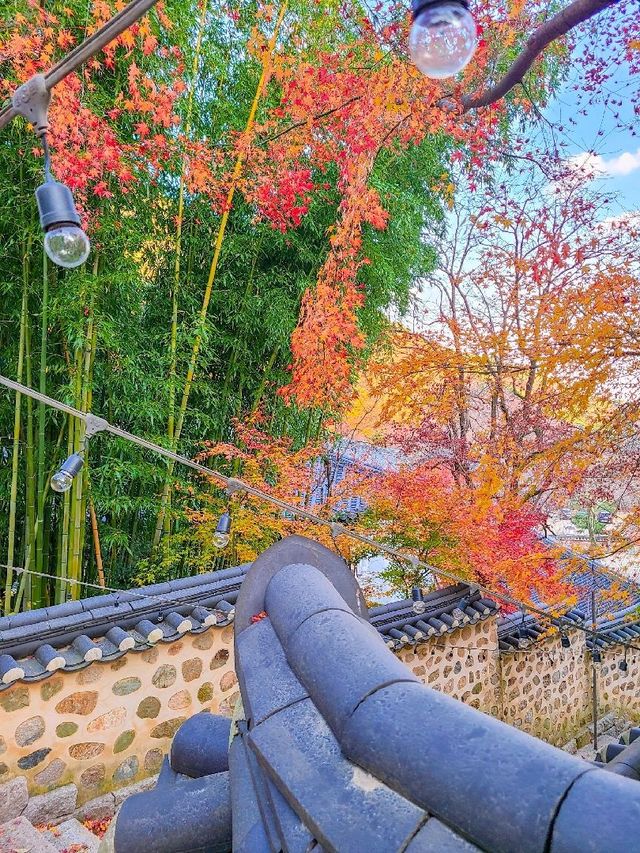 범어사 필수 사진 스팟 📸 