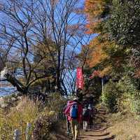 紅葉の景信山