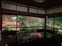 京都[紅葉めぐり]   幻の紅葉　瑠璃光院