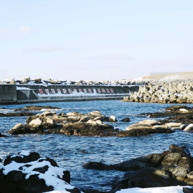 凍てつく海
