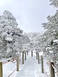 스위스 못지 않게 아름다운 한라산 설경