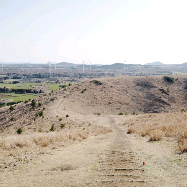 말똥많은, 하지만 확트인 전망이 좋은 제주 용눈이오름