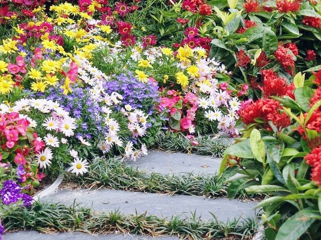 九龍公園花卉展