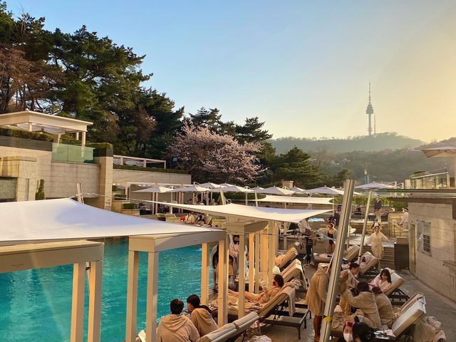 🏝도심 속 오아시스, ‘어번 아일랜드’ 